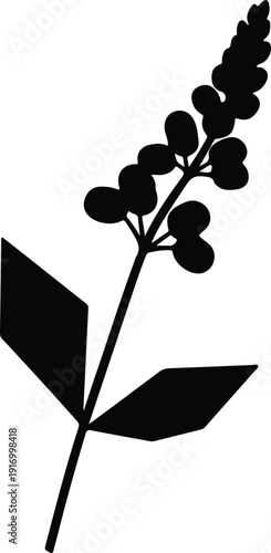 silhouette single flower stalk with leaves vector design