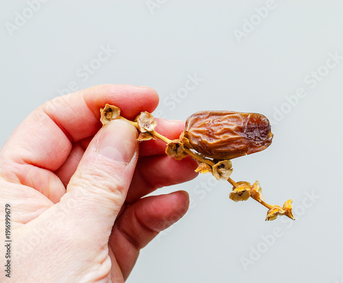 Wallpaper Mural Hand holding a single dried date on its stem against a neutral background Torontodigital.ca