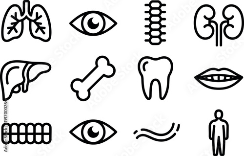 Collection of stylized medical and human anatomy icons representing internal organs and body parts