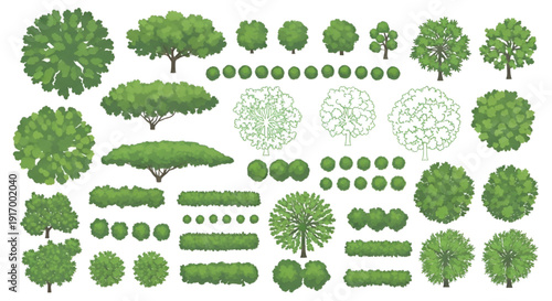 Minimal CAD Tree Top View Linework – Landscape Architecture Plan Symbols Vector Illustration Isolated White Background