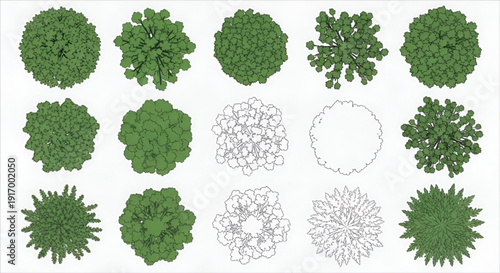 Architectural CAD Tree Plan View – Minimal Landscape Layout Symbols for Garden and Urban Design Vector