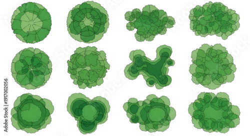 CAD Tree Top View Set – Landscape Plan and Architecture Layout Vector Elements Isolated on White