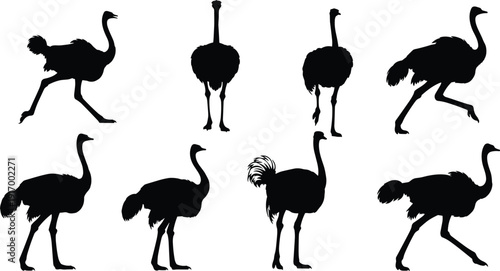 Ostrich silhouette collection, bird vector icons, wildlife artwork, nature clipart, avian design, running graphics, animal illustration, exotic species set