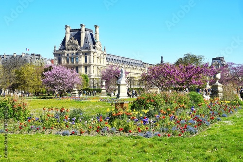 Photography Tuileries Gardens with flowers in the foreground, statues and architecture in t