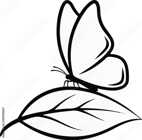 A black and white drawing of a butterfly resting on a leaf