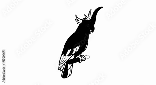 A black and white drawing of a cockatoo with a crest sits on a perch