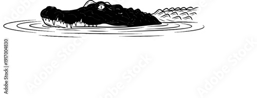 A black and white illustration depicts an alligator's head emerging from rippling water