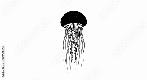 A black jellyfish with trailing tentacles floats on a white background