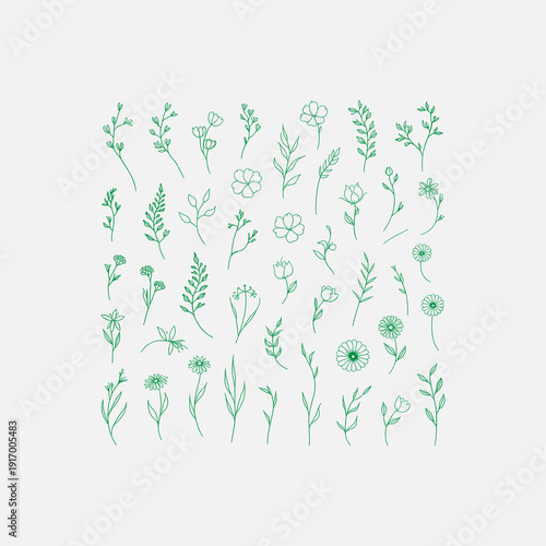 green floral background Collection of Hand-Drawn Floral Botanical Doodles in Green. Green Floral Graphic bundle collection Elements for Bullet Journaling and Notebook Design.