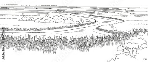 A black and white sketch of a winding river through a marshy wetland with birds