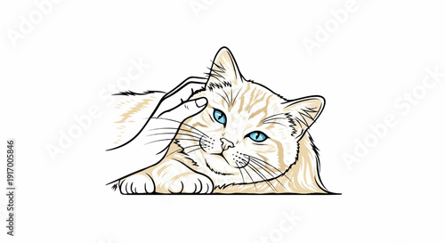 A gentle hand pets a fluffy cat with striking blue eyes
