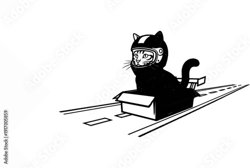 A black cat wearing a racing helmet sits in a box on a road