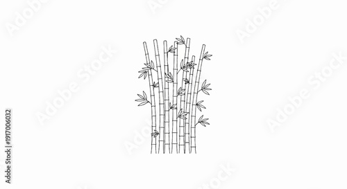 A delicate sketch of a cluster of bamboo stalks with sparse leaves