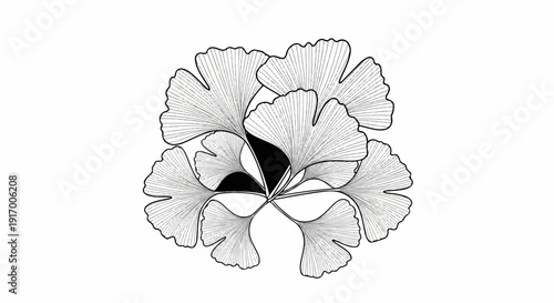 A cluster of ginkgo leaves in a detailed black and white illustration