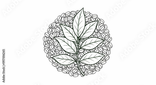 A branch with leaves is overlaid on a circular pattern of coffee beans