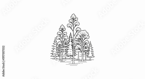 A hand-drawn black and white illustration of a dense forest scene