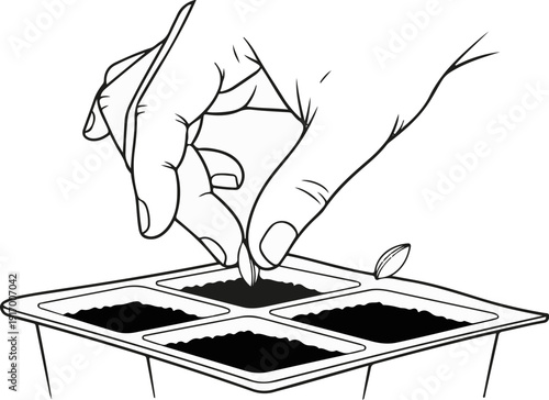 A hand places seeds in soil cells of a seedling tray
