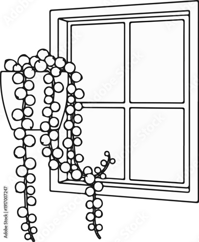 A hanging plant with bead-like leaves cascades by a window
