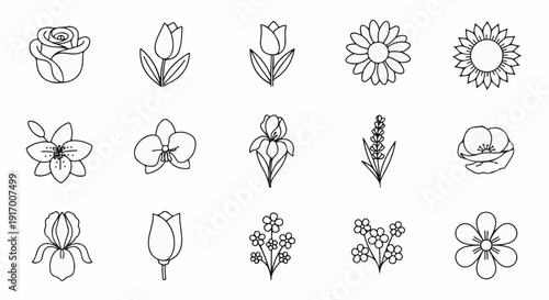 A collection of line-art floral illustrations arranged in a grid format