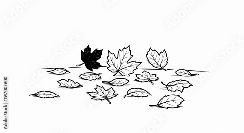 A collection of scattered autumn leaves, some solid black, others outlined