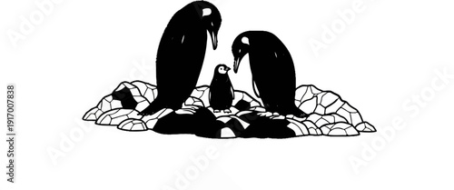 A family of penguins stands on a rocky outcrop