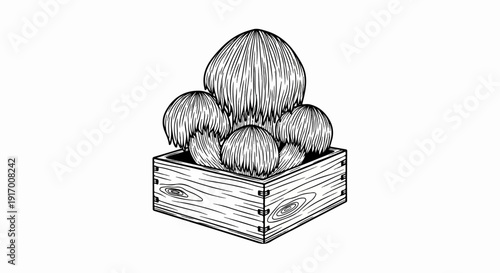 A monochrome illustration of a wooden planter box with a cluster of fuzzy plants