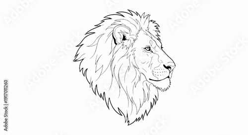 Detailed black and white line drawing of a lion's profile