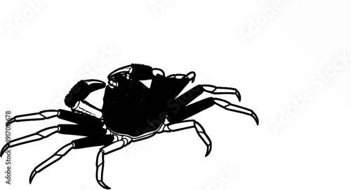 A black and white line drawing of a crab with sharp pincers