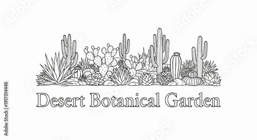 Collection of desert plants and succulents, drawn in monochrome