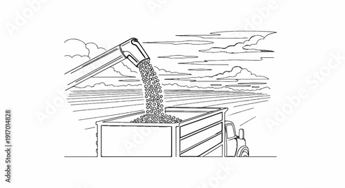 A combine harvester unloads beans into a truck in a field under a cloudy sky