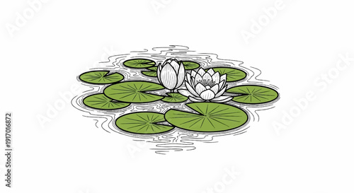 A sketch of water lilies with lily pads floating serenely on the water