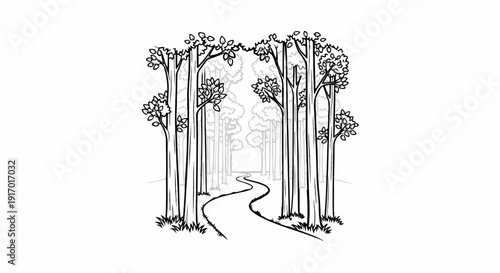 A winding path leads through a dense forest with tall trees