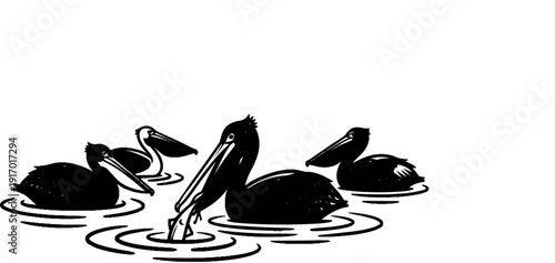 A flock of pelicans swims in rippling water, one dipping its beak