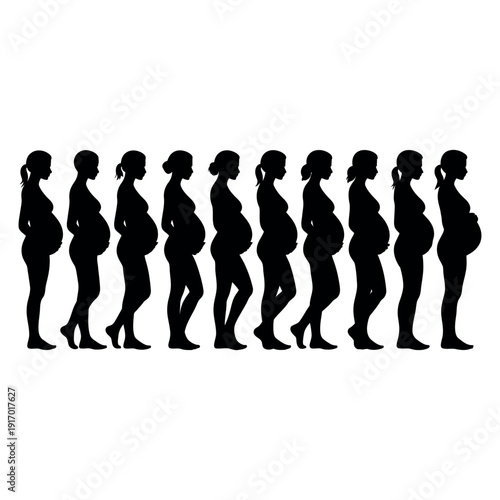 A pregnant woman's silhouette changes throughout her pregnancy stages