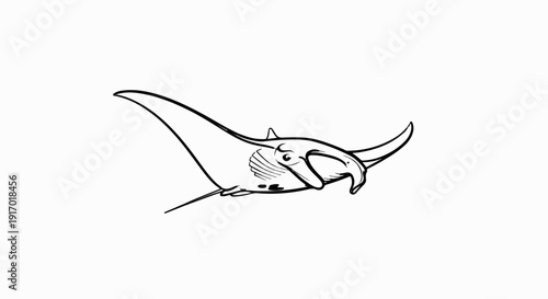 A black and white line drawing of a manta ray swimming
