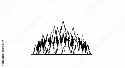 Black and white abstract drawing of a dense forest of pine trees