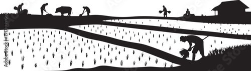 Silhouette of farmers working in rice fields with a house in the background