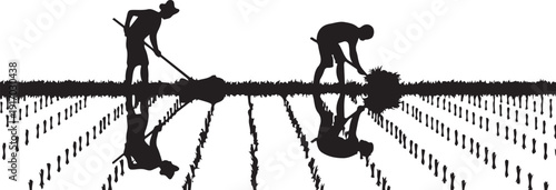 Silhouettes of people working in a rice paddy field