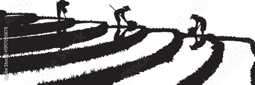 Three People Working on Terraced Fields Silhouette