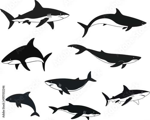Collection of various dolphin and shark silhouettes