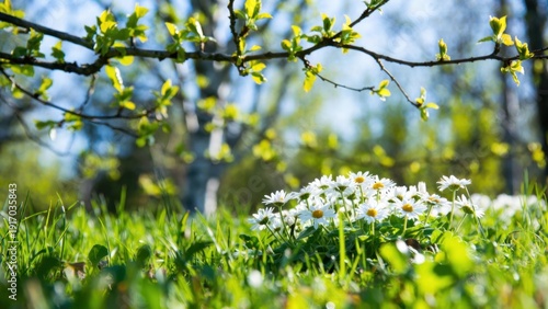 Springtime blossoms in sunlit meadow with fresh greenery and daisies.