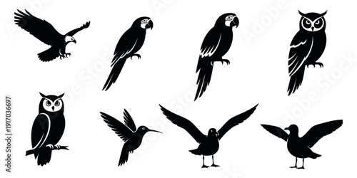 Black silhouettes of various birds on white background bird silhouettes black birds 1 eagle parrot