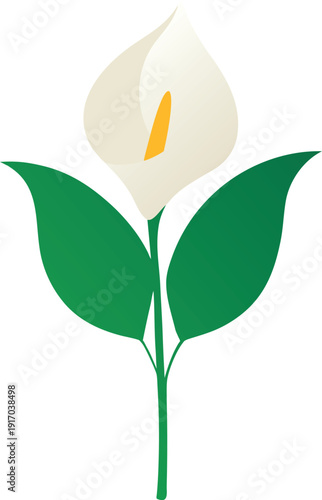 Elegant White Peace Lily Flower Illustration