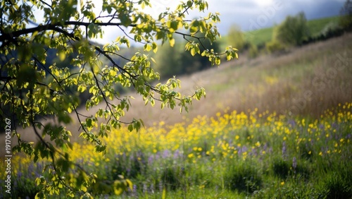 Scenic spring meadow with blossoming tree branch and wildflowers.