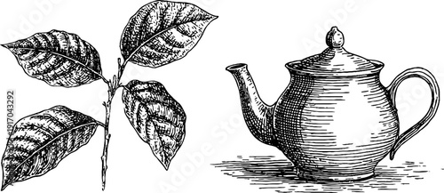 Vintage tea time engraving: teapot, cup, and leaves design for decor and cards