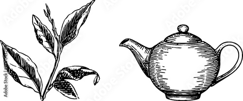 Vintage tea leaves and teapot silhouette illustration for design