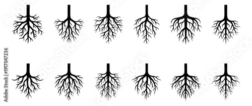Stylized tree roots icon set featuring various natural shapes for ecology and nature concepts