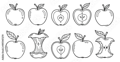 Hand drawn line art apple set featuring whole, half cut, and bitten apple cores for food and healthy eating concepts