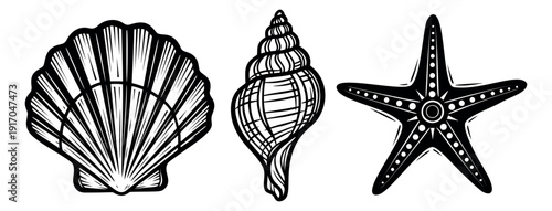 Hand drawn line art marine life set featuring a scallop, a conch shell, and a starfish for summer designs