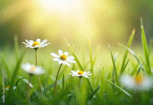 Summer breeze moving grass and flowers, natural motion blur.